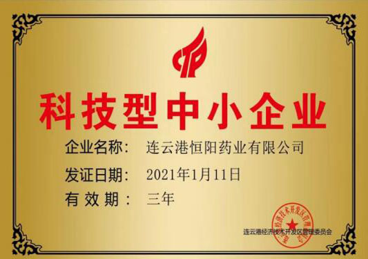 科技型中小企业